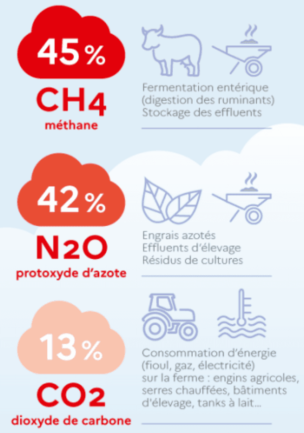 Infographie : décomposition des GES liés à l'agriculture