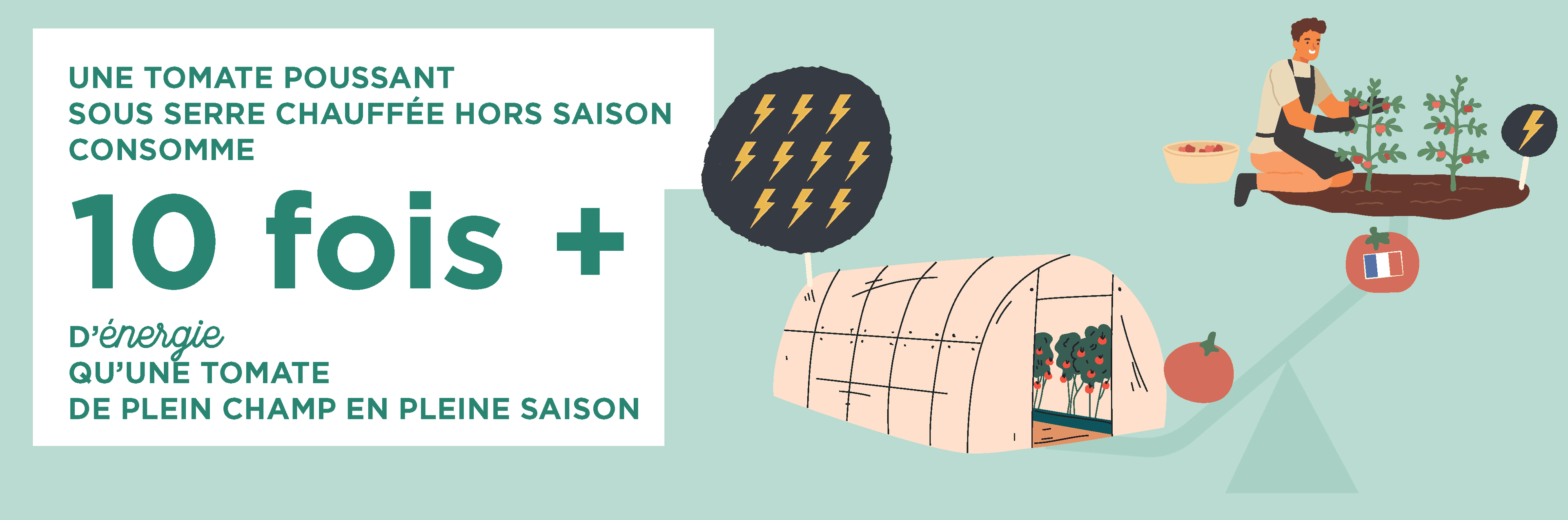 Infographie : une tomate poussant sous serre chauffée hors saison consomme 10 fois plus d'énergie qu'une tomate de saison