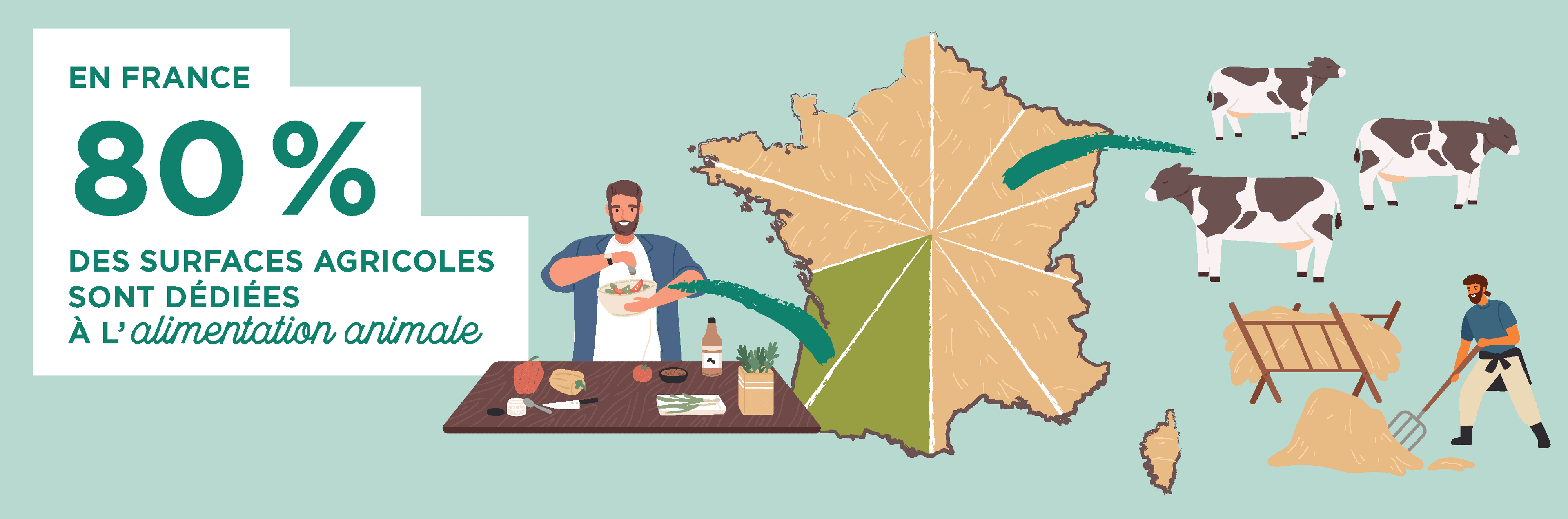 Infographie : en France 80% des surfaces agricoles sont dédiées à l'alimentation animale