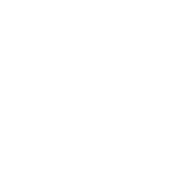 Silicet