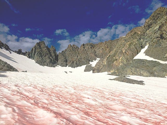 Neige Rouge sur le mont Ritter - Etats-Unis