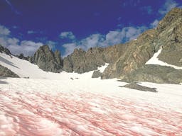 Illustration: Le sang des glaciers