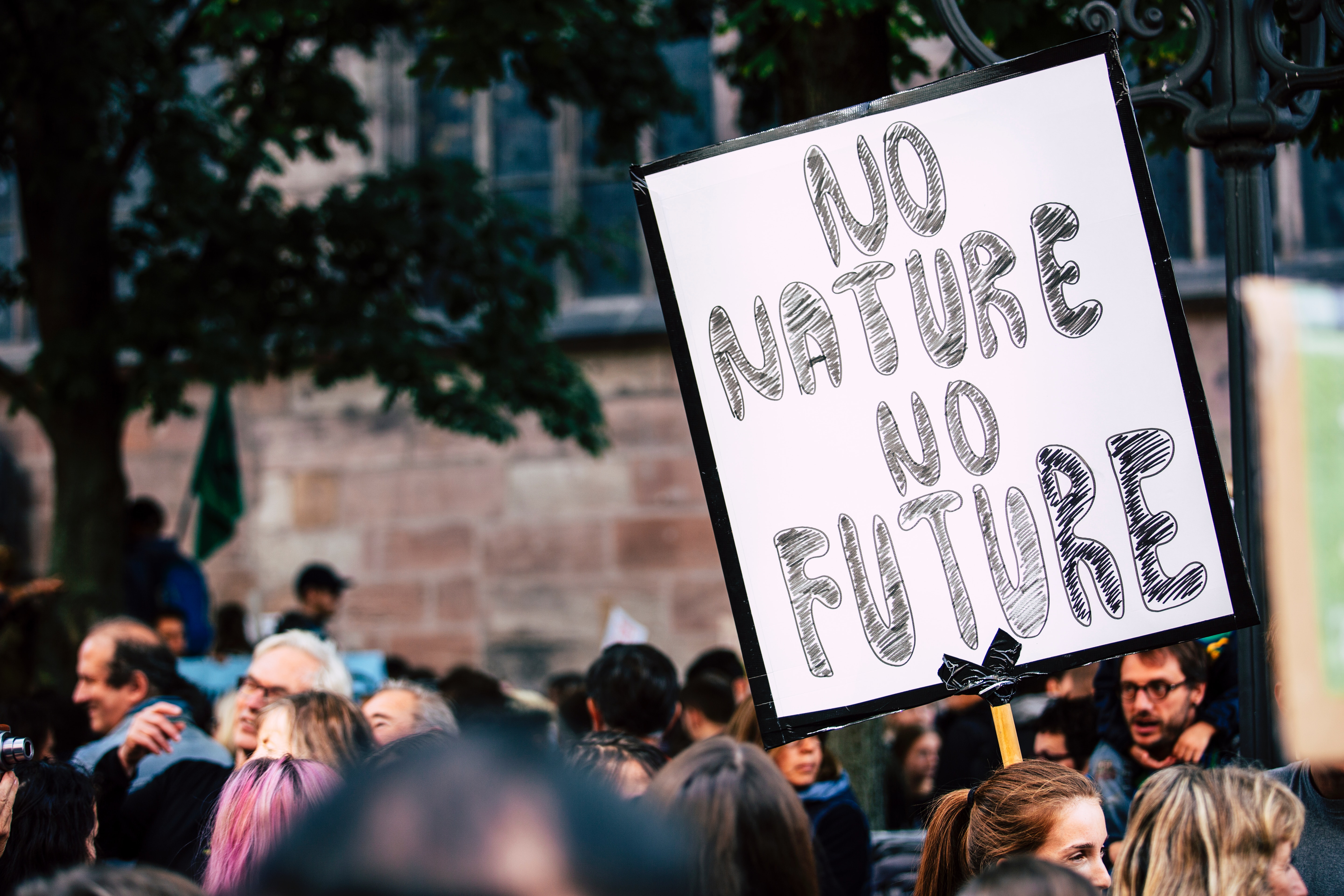 "Pas de nature, pas de futur", une photo de Markus Spiske